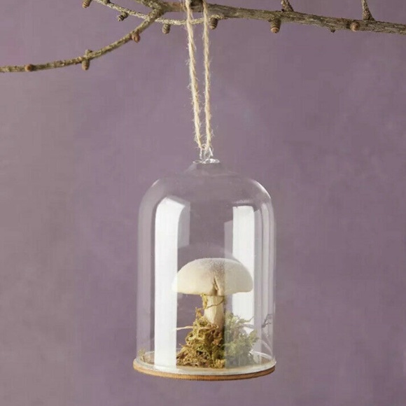 Anthropologie Mushroom Cloche Glass Ornament - Picture 1 of 2